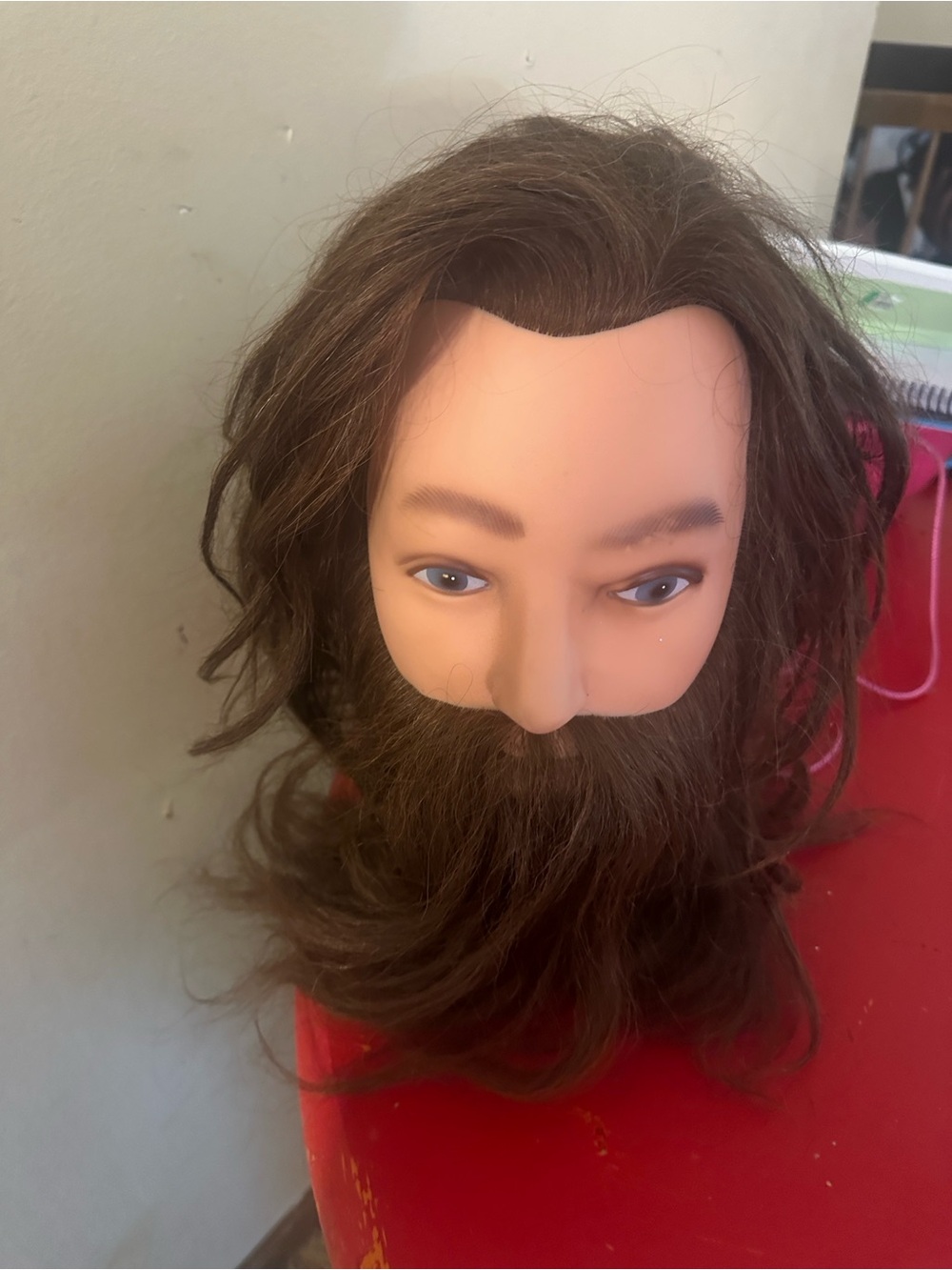 Brown Long Hair & Beard Training Mannequin Head